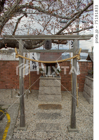 和歌山鐡道の車窓風景 貴志駅たま神社 和歌山鐡道の車窓風景 貴志駅たま神社 75191833