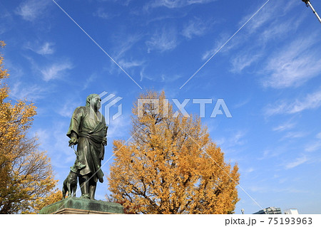 東京都台東区上野公園の西郷隆盛像 75193963