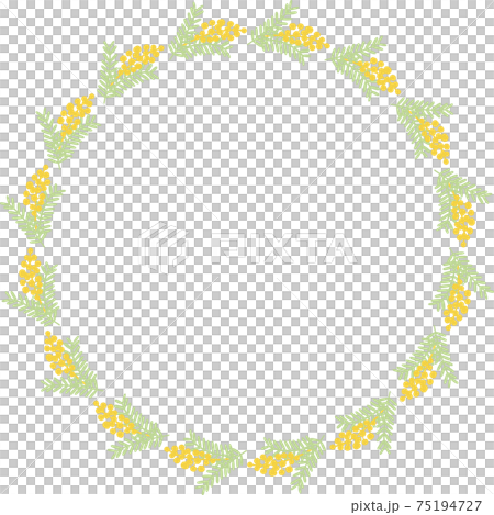 含羞草fusa相思框架春天花植物複製空間插圖素材 75194727