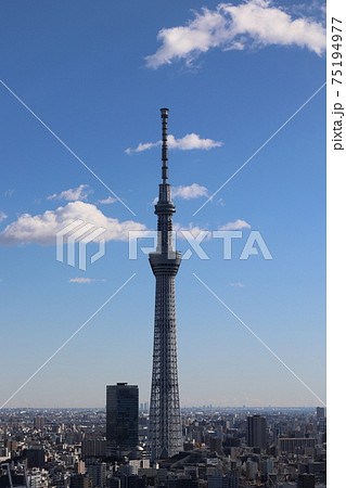 東京スカイツリー 東京スカイツリー 75194977