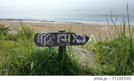 糸島 糸島 75195346