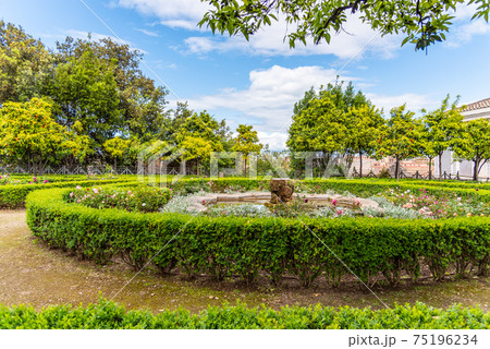 Rose garden of Roman Forum 75196234
