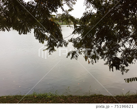 公園 木 湖 75196621