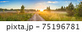 amazing panorama summer landscape with sunrise 75196781