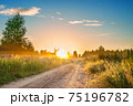 amazing summer rural landscape with sunrise 75196782