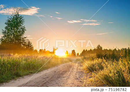 amazing summer rural landscape with sunrise amazing summer rural landscape with sunrise 75196782