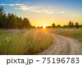 amazing summer rural landscape with sunrise 75196783
