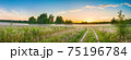 amazing panorama summer landscape with sunrise 75196784