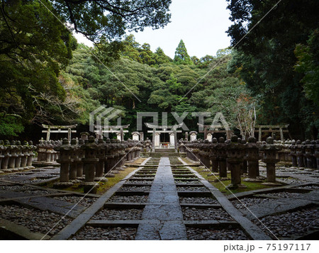 東光寺の石灯籠 東光寺の石灯籠 75197117