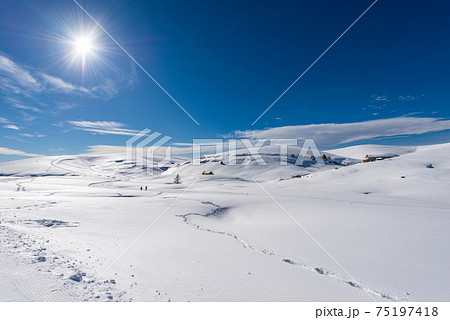 Beautiful Snowy Winter Landscape of the Lessinia Plateau - Veneto Italy 75197418