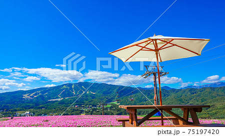 絶景の高原リゾート、ひるがのピクニックガーデン〈岐阜県郡上市〉 75197420