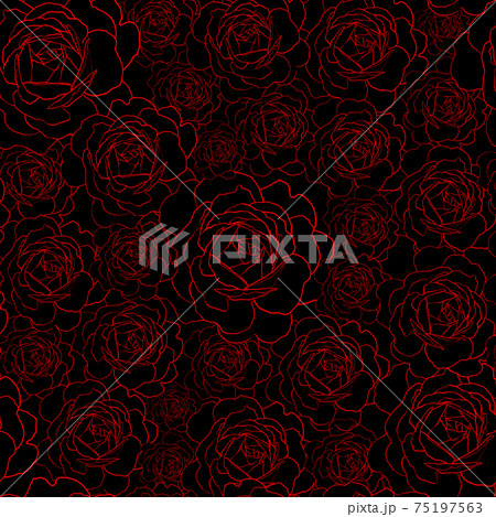 Vector seamless pattern with red rose flowers outline on the black background. Floral hand drawn ornament in sketch style. Vector seamless pattern with red rose flowers outline on the black background. Floral hand drawn ornament in sketch style. 75197563