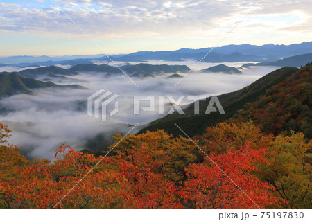 立里荒神社の雲海 75197830