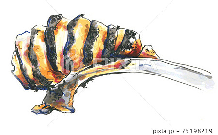 スペアリブ 75198219