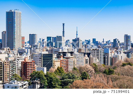 東京 新宿から見る都心部とスカイツリーの写真素材