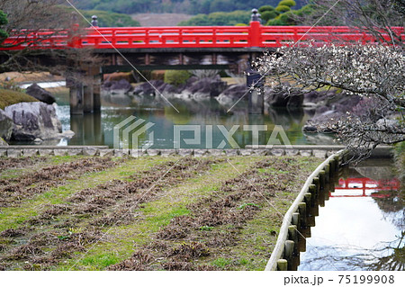 南楽園の美園橋 75199908