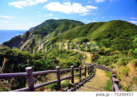 加計呂麻島　安脚場戦跡から見える緑の山 75200457