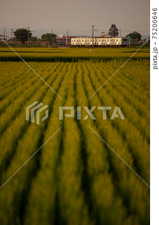 黄昏の弘南鉄道 75200646