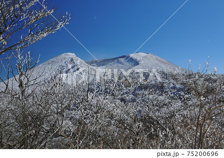 登山道から観る霧氷に覆われた韓国岳 75200696