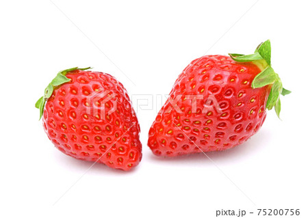 いちご(いちごさん) いちご(いちごさん) 75200756