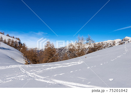 Mountain Range of the Monte Carega in Winter with Snow - Small Dolomites Italy 75201042