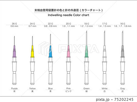 【医療】末梢血管用留置針の、ゲージ数とカラーチャート (横) 75202245