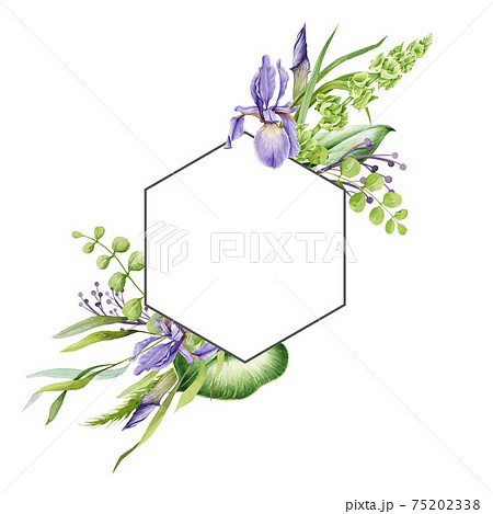Spring flower frame. Bright hand drawn violet iris flowers in decorative elegant banner. Watercolor realistic garden floral frame. Wedding invitation postcard. Elegant element. On white background 75202338