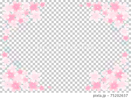 Sakura illustration Sakura illustration 75202637