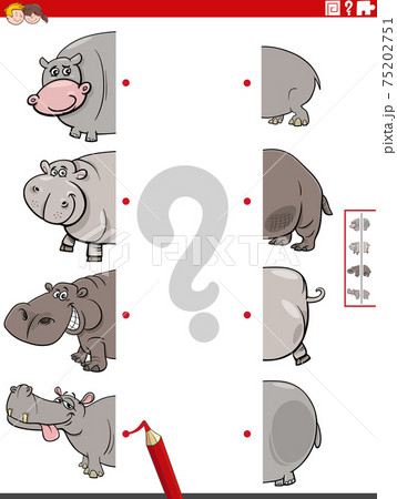 match halves of pictures with hippopotamus educational game 75202751