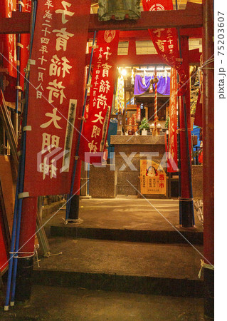 酉の市の祭礼の夜・巣鴨大鳥神社 酉の市の祭礼の夜・巣鴨大鳥神社 75203607