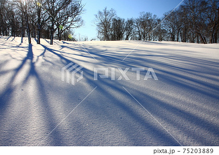 雪原の朝 75203889