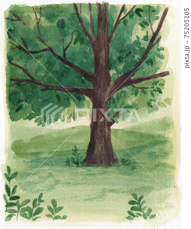 Tree watercolor element 75205105
