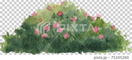 Tree watercolor element Tree watercolor element 75205260