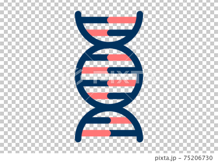 Simple design illustration of DNA - Stock Illustration [75206730] - PIXTA