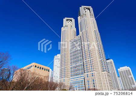 東京都庁 東京都庁 75206814