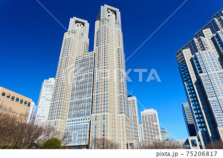 東京都庁 東京都庁 75206817