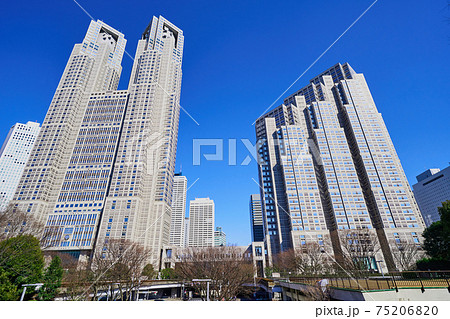 東京都庁 東京都庁 75206820