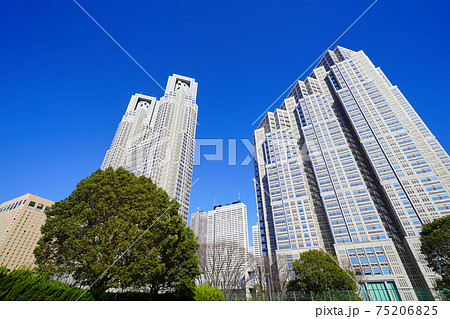 東京都庁 東京都庁 75206825