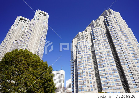東京都庁 東京都庁 75206826