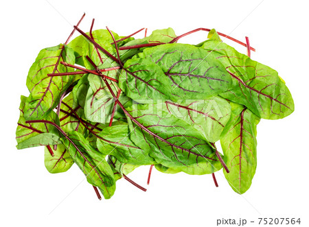 heap of leaves of Chard leafy vegetable cut out 75207564