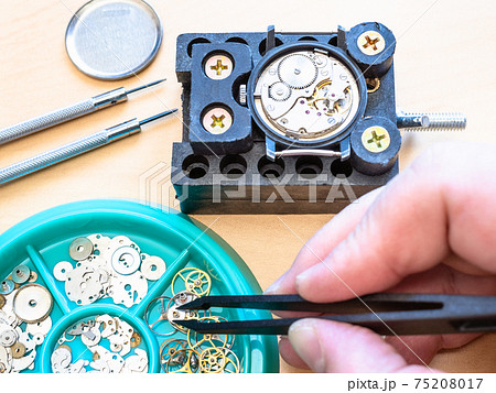 watchmaker picks up gear for mechanical watch watchmaker picks up gear for mechanical watch 75208017