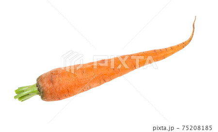 fresh organic garden carrot cutout on white 75208185