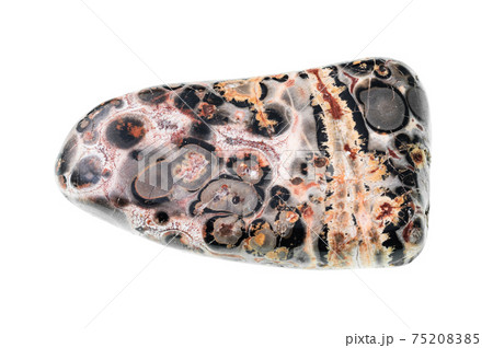 leopard skin jasper (jaguar stone) gemstone cutout leopard skin jasper (jaguar stone) gemstone cutout 75208385