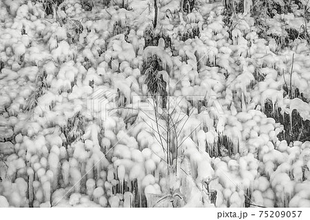 芦ヶ久保　氷　風景 75209057