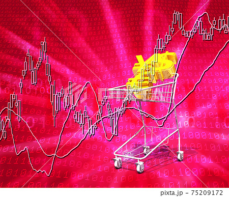 為替通貨の買い物かごと株式市場 75209172