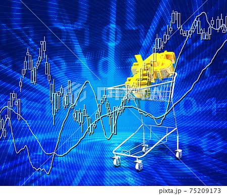 為替通貨の買い物かごと株式市場 75209173
