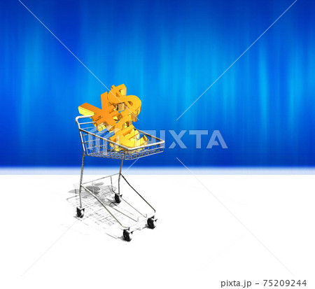 為替通貨の買い物かご 75209244