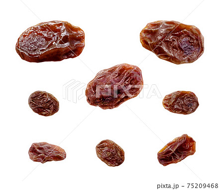 レーズン イラスト リアル レーズン イラスト リアル 75209468