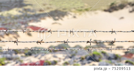 Close up picture of rusty barbed wire. Close up picture of rusty barbed wire. 75209513