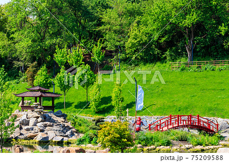 Red bridge and gazebo by a pond in Japanese garden 75209588
